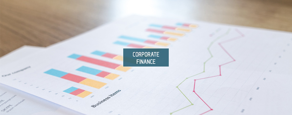 DSB Consulting - Corporate Finance